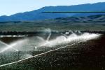 Irrigation, water, sprinkler, hills, FMNV02P03_12