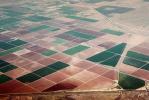 Fields, patchwork, checkerboard patterns, farmfields, FMNV02P14_01.0381