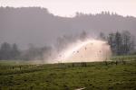 Irrigation, water, sprinkler, Fields, birds, FMNV02P15_09.0949