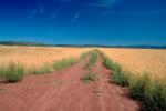 Dirt Road, Wheat Fields, Dorris California, Dirt, soil, FMNV03P06_04.0949