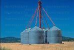 Wheat Fields, Dorris California, FMNV03P06_08