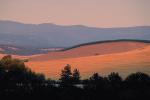 Early Morning, Hills, Dufur Oregon, FMNV03P08_01B.0949