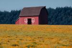 barn, outdoors, outside, exterior, rural, building, architecture, bucolic, FMNV03P09_07B.0949