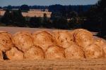 Rolled Hay Bales, FMNV03P11_08.0949