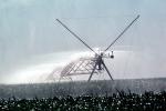 Afternoon Water, sprinkler, water, irrigation, mist, spray, haze, hazey, FMNV03P13_02