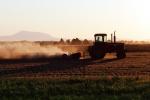 Late Afternoon Farming, Farmer, Dirt, soil