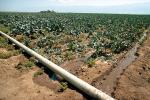 Irrigation, water, pipe, FMNV04P01_15.0839