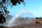 Water Sprinkler, Dirt, soil, irrigation, FMNV04P01_19.0950