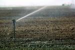 Water Sprinkler, Dirt, soil, irrigation, FMNV04P02_04