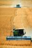 Harvesting Wheat with Mechanized Combines, John Deere Turbo 6622 Combine, farmfield, wheat field, golden amber waves of grain, swather, windrower, FMNV04P05_09.0839