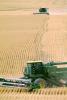 Harvesting Wheat with Mechanized Combines, John Deere Turbo 6622 Combine, farmfield, wheat field, golden amber waves of grain, swather, windrower, FMNV04P05_10