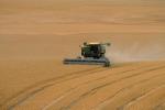 Harvesting Wheat with Mechanized Combines, John Deere Turbo 6622 Combine, farmfield, wheat field, golden amber waves of grain, swather, windrower, FMNV04P05_12.0950