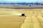 Harvesting Wheat with Mechanized Combines, John Deere Turbo 6622 Combine, farmfield, wheat field, golden amber waves of grain, swather, windrower, FMNV04P05_14