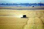 Harvesting Wheat with Mechanized Combines, John Deere Turbo 6622 Combine, farmfield, wheat field, golden amber waves of grain, swather, windrower, FMNV04P05_17