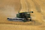 Harvesting Wheat with Mechanized Combines, John Deere Turbo 6622 Combine, farmfield, wheat field, golden amber waves of grain, swather, windrower, FMNV04P06_08