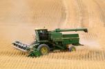 Harvesting Wheat with Mechanized Combines, John Deere Turbo 6622 Combine, farmfield, wheat field, golden amber waves of grain, swather, windrower, FMNV04P06_09