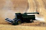 Harvesting Wheat with Mechanized Combines, John Deere Turbo 6622 Combine, farmfield, wheat field, golden amber waves of grain, swather, windrower, FMNV04P06_09C