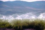 Apple Orchard, Water Sprinklers, Irrigation, Columbia River Basin, Washington State, FMNV04P07_01.0950