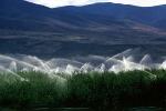 Apple Orchard, Water Sprinklers, Irrigation, Columbia River Basin, Washington State, FMNV04P07_02