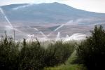 Apple Orchard, Water Sprinklers, Irrigation, Columbia River Basin, Washington State, FMNV04P07_03.0839