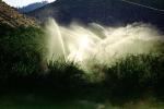 Irrigation, water, sprinkler, along the Columbia River, FMNV04P07_18