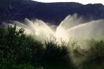 Irrigation, water, sprinkler, along the Columbia River, FMNV04P08_02