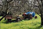 trailer, tractor, Occidental, Sonoma County