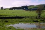 pond, water, Hills, buildings, barn, fences, Sonoma County, FMNV04P12_05.0950