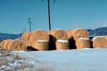 Round Bales of Hay, Colorado, stack, FMNV04P15_16.0950
