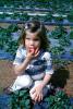 Girl Picking and Eating Strawberries, 1960s, FMNV05P05_14