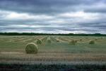 Rolled Hay Bales, clouds