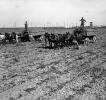 Dirt, soil, horse drawn trailers, 1890's, FMNV05P07_08