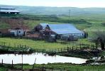 Shed, Barn, Fence, Pond, rural, building, architecture