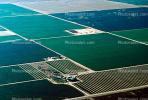 patchwork, farmfields, checkerboard patterns, Central Valley, California, FMNV06P04_17.0381