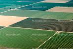 Central Valley, California, patchwork, checkerboard patterns, farmfields, FMNV06P04_18.0935