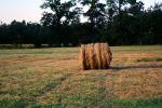 Rolled Hay Bale, FMNV07P07_15