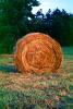 Rolled Hay Bale, FMNV07P07_16