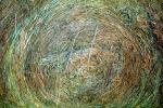 Rolled Hay Bale, FMNV07P07_18
