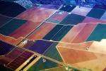 fields, checker board, colorful