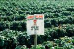 pesticides, near Castroville, Central California Coast, Herbicide, Insecticide, FMNV08P01_14