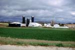Barns and Silos, field, rural, building, outdoors, outside, exterior