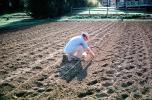 Sowing Seeds, Dirt, soil