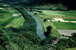 Rice Field, Taro, River, Bridge, FMNV08P12_08