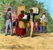 White Racist, Cotton, the deep south immorality, Slave Trade, Slave owner, Domination, Cruel, FMNV08P12_17
