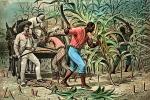 Southern Hospitality, Sugar Cane, White Racist, Slave Trade, Slave owner
