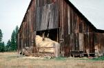 Wooden Barn, Hay, old, FMNV08P13_03