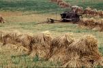 Hay Bundles in a field, FMNV08P14_19