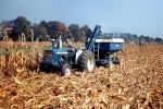 Harvesting Corn, old time Tractor, Farmer, Thresher