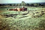 Farmall, Tractor, Baler, Hay Bale, Baleing Hay, Windrows, Farmer, fields, windrows
