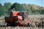 Massey-Fergeson 410 combine, harvester, harvesting corn, FMNV09P01_19